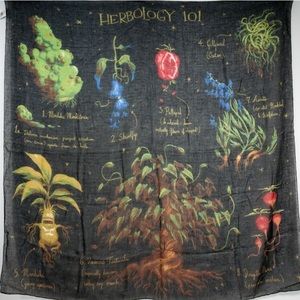 Harry Potter sheer wall tapestry 60x60